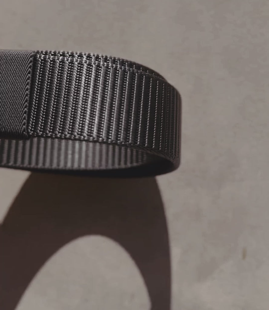 Stellar Cheval Stargold belt